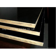 15mm Film Faced Plywood- Black Color